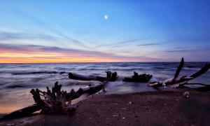 South Point, Rondeau Provincial Park, Predawn early January 2026. Rondeau Provincial Park, Ontario. Recreation. Ken Bell.