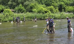 Electrofishing in the Humber river. Etobicoke, Ontario. Research, Education & Science. Emmanuel Thomas.