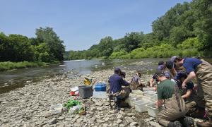 The electrofishing crew of TRCA sorting fish species after a fish survey in the Humber river. Etobicoke, Ontario. Research, Education & Science. Emmanuel Thomas.