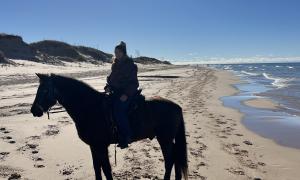 November the state park in Michigan opens the beach to horses. Awesome experiences. Silver Lake, Michigan. Recreation. Penny Callahan.