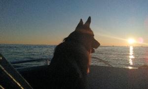 Heading out for the sunset. Pointe au Baril, Ontario. Recreation. Frank.