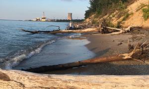 Shows erosion from the dunes when trees fall down to the beach. Beverly Shores, Indiana. Great Lakes Water in Action. Penny Callahan.