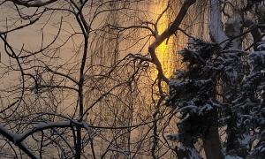 Winter morning. Etobicoke, Ontario. Great Lakes Water in Action. Jesse Godland.