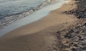 With miles of shoreline on Lake Ontario northwest of Rochester, we often walk this littoral zone enjoying the bluest of the Great Lakes. Hamlin Beach State Park -Hamlin NY -Lake Ontario, New York. Recreation. Barbara Carder.